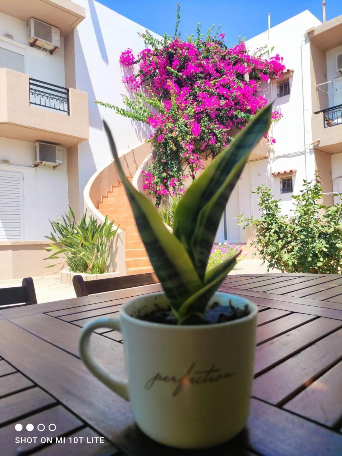 Yannis Apartments Amoudara Lasithiou Exterior foto