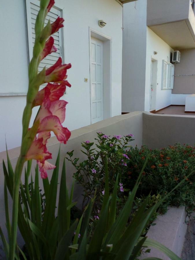 Yannis Apartments Amoudara Lasithiou Exterior foto